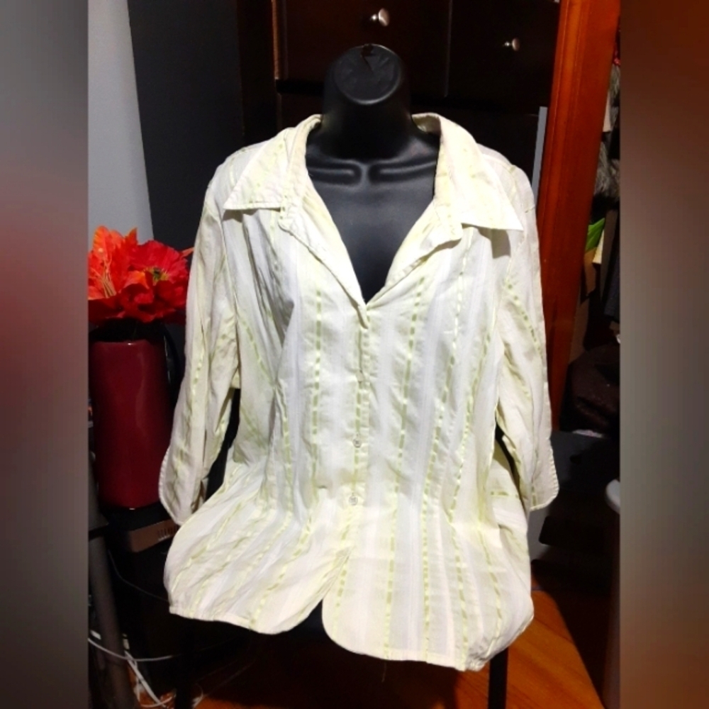 Avenue Women's Light Strioe Mint Lime Green Long Sleeve Button Shirt 22/…